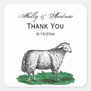 Sticker Carré Animaux de ferme vintages de mouton Ewe Dessin C
