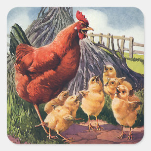 Sticker Carré Animaux Vintage, Poule avec poussins à la ferme