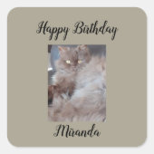 Sticker Carré Anniversaire des chats (Devant)