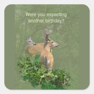 Sticker Carré Anniversaire Whitetail Deer Buck & Doe