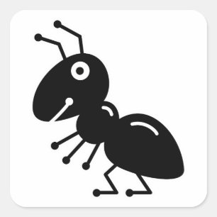 Sticker Carré Ant
