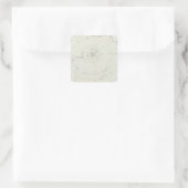 Sticker Carré Antarctique (Sac)