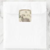 Sticker Carré Antarctique, hémisphère Sud (Sac)