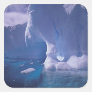 Sticker Carré Antarctique. Sévices de l'Antarctique 3