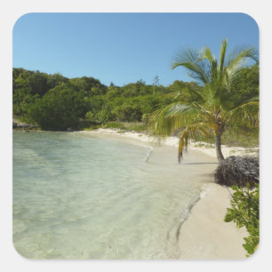 Sticker Carré Antiguan Beach Beautiful Tropical Landscape
