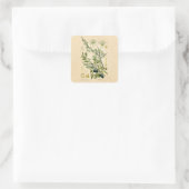 Sticker Carré Antique Blackthorn Botanique Imprimé Fleur Berry (Sac)