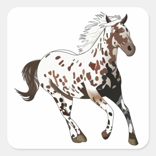 Sticker Carré Appaloosa Horse (Devant)