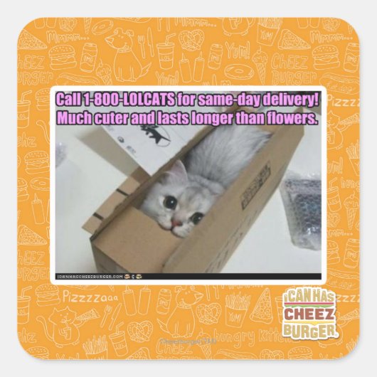 Sticker Carré Appelez 1-800-LOLCATS (Devant)