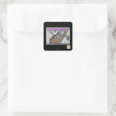 Sticker Carré Appelez 1-800-LOLCATS (Sac)