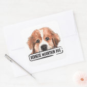 Sticker Carré Aquarelle Bernese Mountain Dog (Enveloppe)