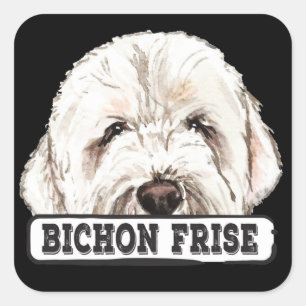 Sticker Carré Aquarelle Bichon Frise