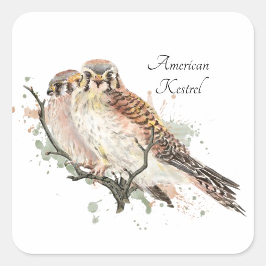 Sticker Carré Aquarelle Birding Kestrel Couple (Devant)