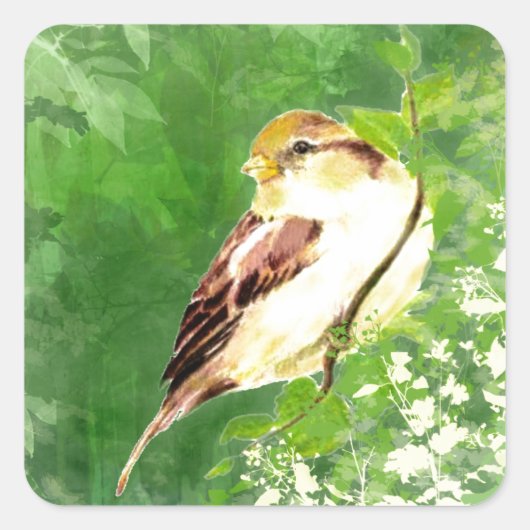 Sticker Carré Aquarelle Chanson Bruant Oiseau dans l'art foresti (Devant)