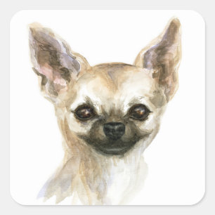 Sticker Carré Aquarelle Chihuahua Chiwawa Fur Mama