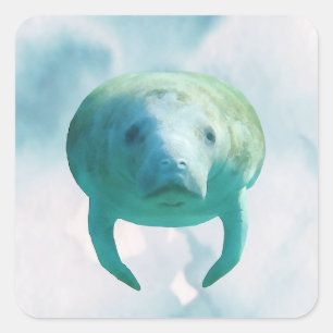 Sticker Carré Aquarelle de Manatee