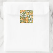 Sticker Carré Aquarelle Fruits orange et Fleur orange (Sac)