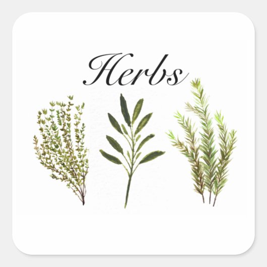 Sticker Carré Aquarelle Herbes Thyme Rosemary Sage Plante Pot (Devant)