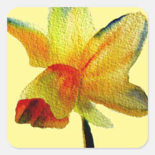 Sticker Carré Aquarelle jonquille jaune art Fleur de printemps
