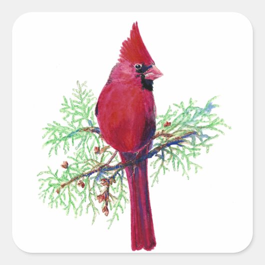 Sticker Carré Aquarelle Noël Cardinal Oiseau rouge (Devant)