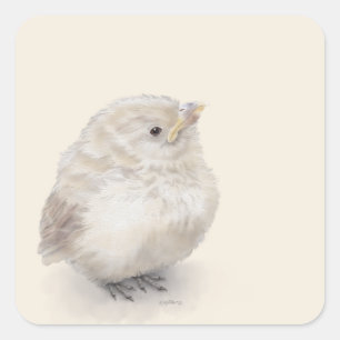 Sticker Carré Aquarelle numérique Baby Sparrow