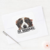 Sticker Carré Aquarelle St. Bernard (Enveloppe)