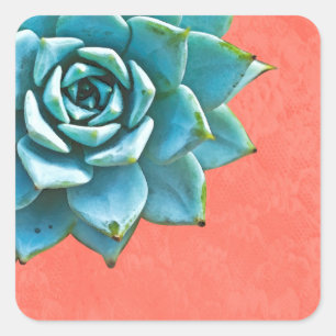 Sticker Carré Aquarelle Succulente Dentelle orange