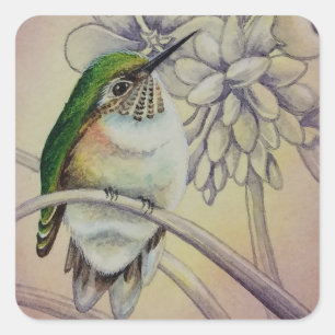 Sticker Carré Aquarelle Vintage No. 5