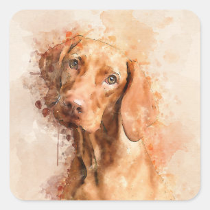 Sticker Carré Aquarelle Vizsla