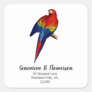 Sticker Carré Ara Macao Tropical Coloré Oiseau de la Forêt Tropi