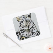 Sticker Carré Arabian Leopard 2008 7 (Enveloppe)