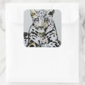 Sticker Carré Arabian Leopard 2008 7 (Sac)