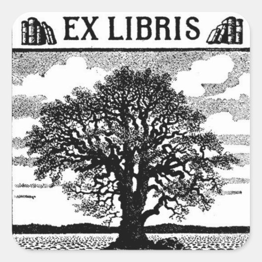 Sticker Carré Arborescence Ex Libris (Devant)