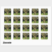 Sticker Carré Arbre éclairé (Feuille)