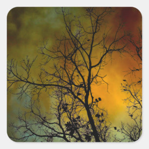 Sticker Carré arbre un matin orageux