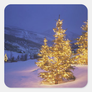 Sticker Carré Arbres de Noël, Park City, montagnes de Wastch,