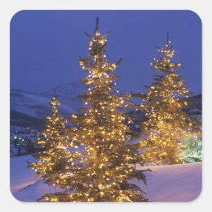 Sticker Carré Arbres de Noël, Park City, montagnes de Wastch, 2
