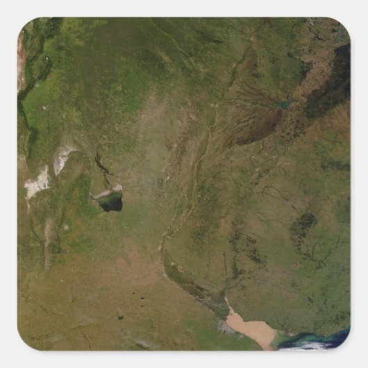 Sticker Carré Argentine (Devant)