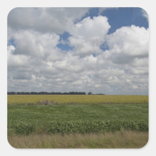 Sticker Carré Argentine, Buenos Aires, San Antonio de Areco.