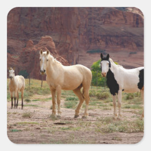 Sticker Carré Arizona, Navajo réserve indienne, Chinle,