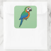 Sticker Carré Arlequin Macaw (Sac)