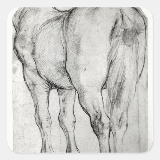 Sticker Carré Arrière du cheval (Devant)
