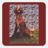 Sticker Carré Arrière - plan Motif de Red Irish Setter Dog (Devant)