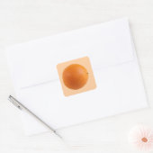 Sticker Carré Arrondi Orange Fruit frais Photo (Enveloppe)