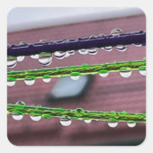 Sticker Carré Arrosage sur cordes (Devant)