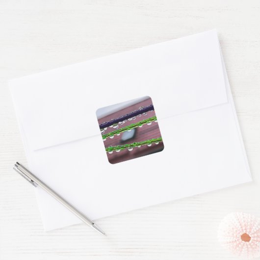 Sticker Carré Arrosage sur cordes (Enveloppe)