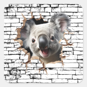 Sticker Carré Art de mur de koala 3D – Safari réaliste