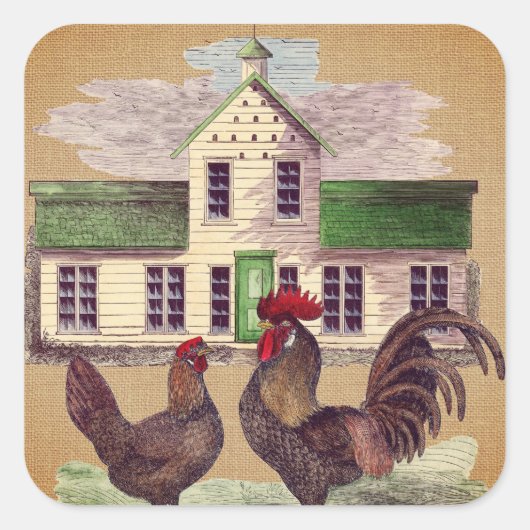 Sticker Carré Art populaire Farmyard Poulets Conception rustique (Devant)