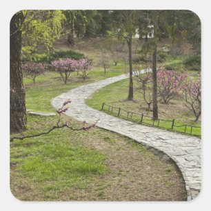 Sticker Carré Asie, Chine, Pékin. Le printemps fleurit le long