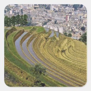 Sticker Carré Asie, Chine, province du Yunnan, Jinping. Jinping