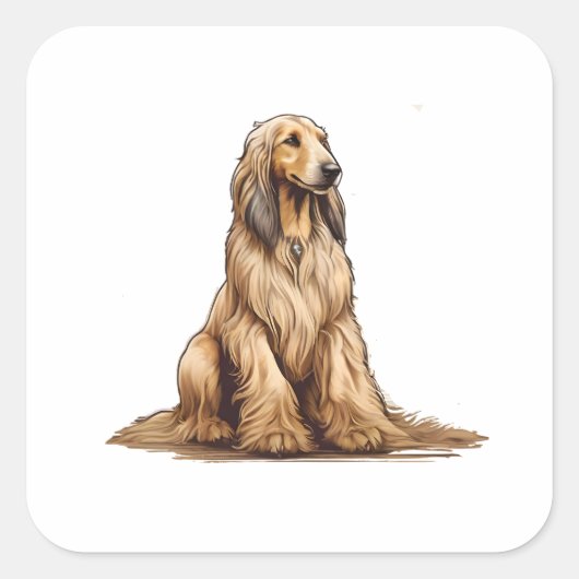 Sticker Carré Assis en or afghan hound (Devant)